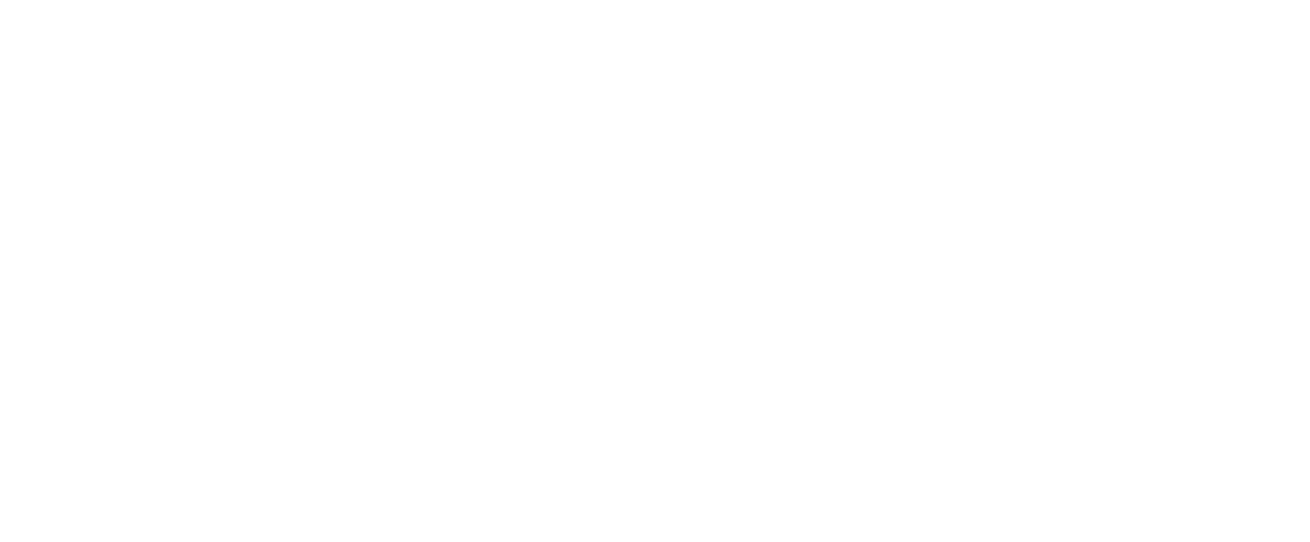 Header Text White